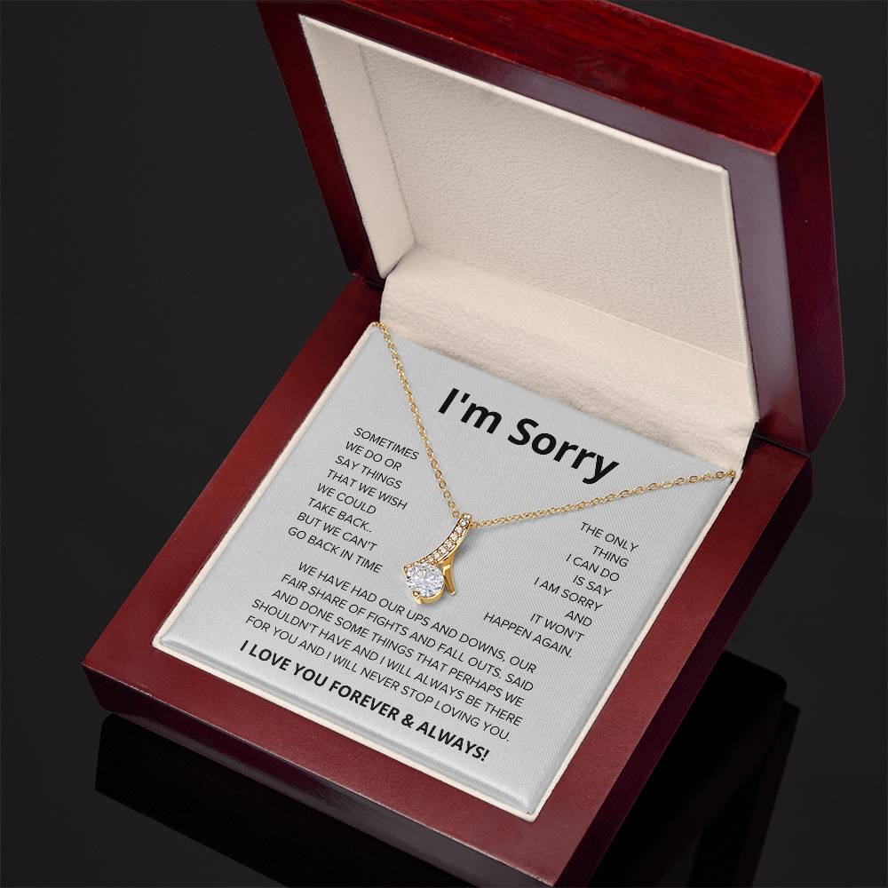 I'm Sorry Gift, Apology Necklace For Wife Josh