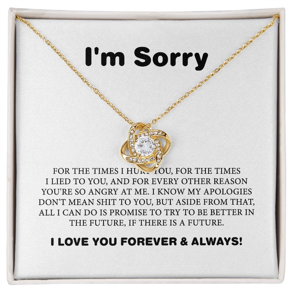 Apology Gift For Her, I Am Sorry Gift For Wife Or Girlfriend, Apology Necklace For Her B0BLLXVP6W JWSN110633