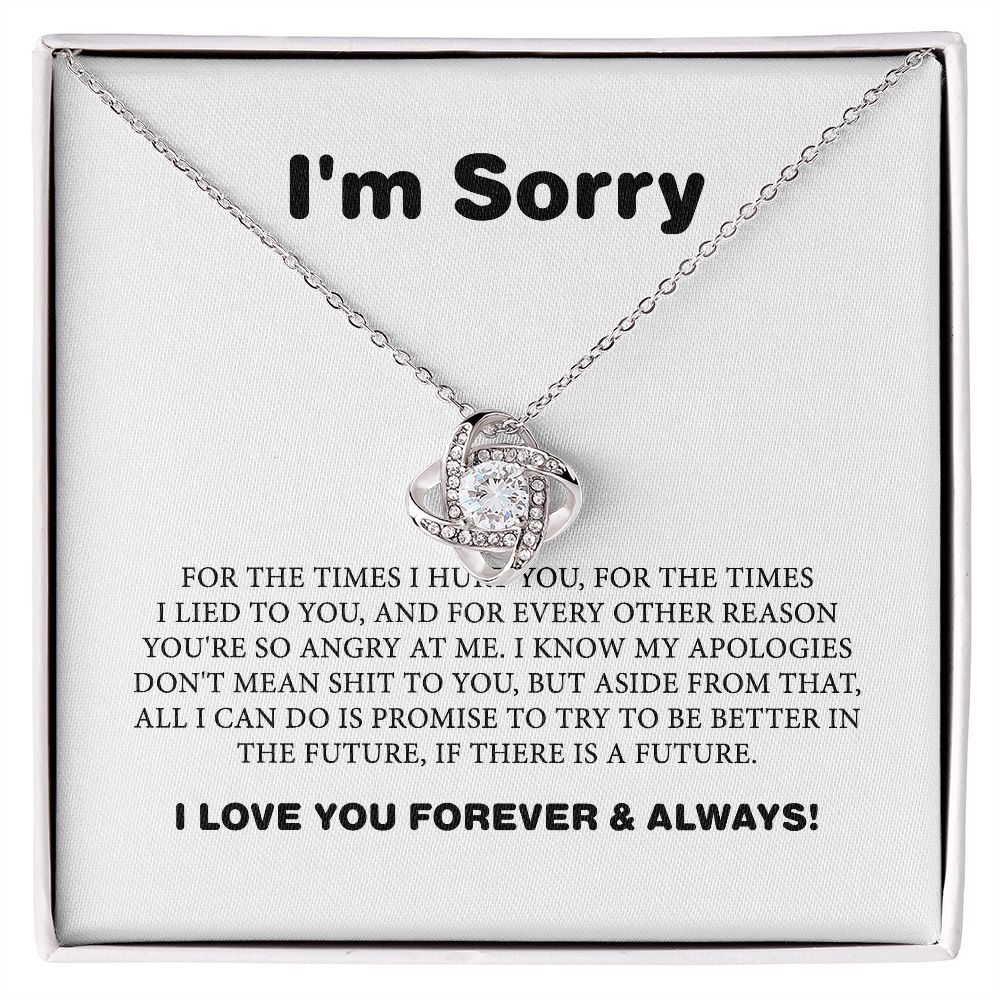 Apology Gift For Her, I Am Sorry Gift For Wife Or Girlfriend, Apology Necklace For Her B0BLLXVP6W JWSN110633