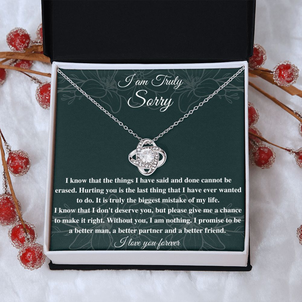 I'm Sorry Necklace: A Beautiful Gift to Say Sorry and Show Your Love and Regret, Apology necklace, Forgiveness gift, I'm sorry necklace SNJW23-020312