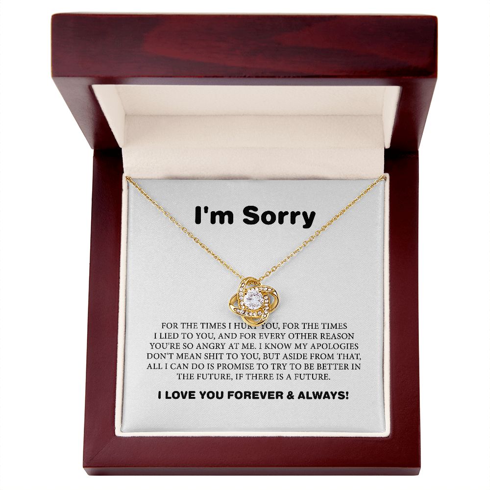 Apology Gift For Her, I Am Sorry Gift For Wife Or Girlfriend, Apology Necklace For Her B0BLLXVP6W JWSN110633