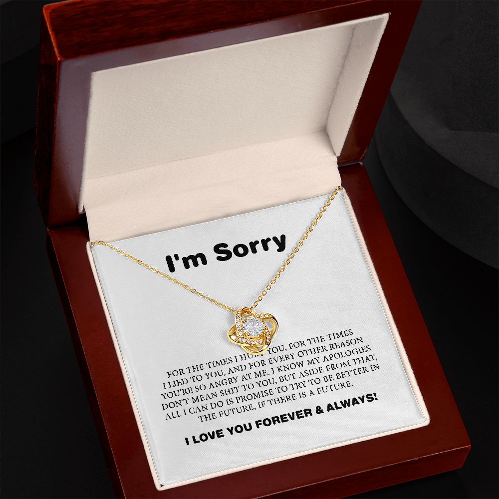 Apology Gift For Her, I Am Sorry Gift For Wife Or Girlfriend, Apology Necklace For Her B0BLLXVP6W JWSN110633