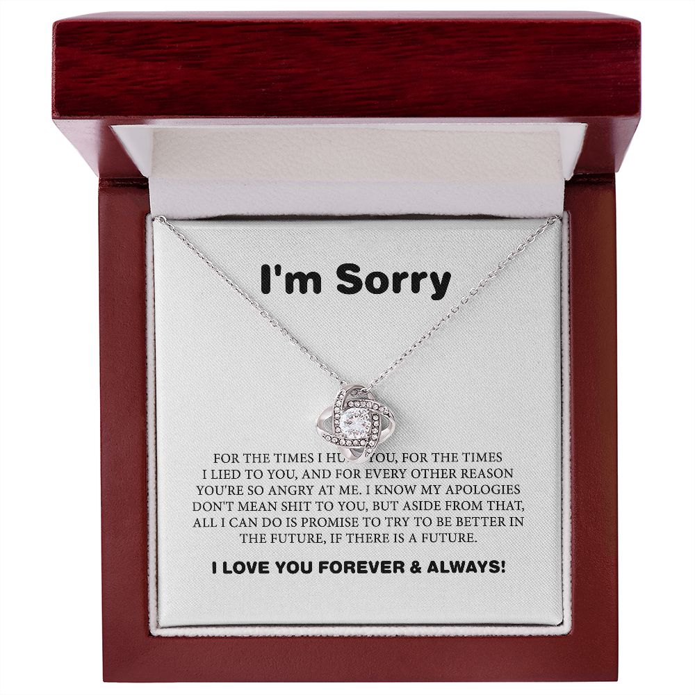 Apology Gift For Her, I Am Sorry Gift For Wife Or Girlfriend, Apology Necklace For Her B0BLLXVP6W JWSN110633