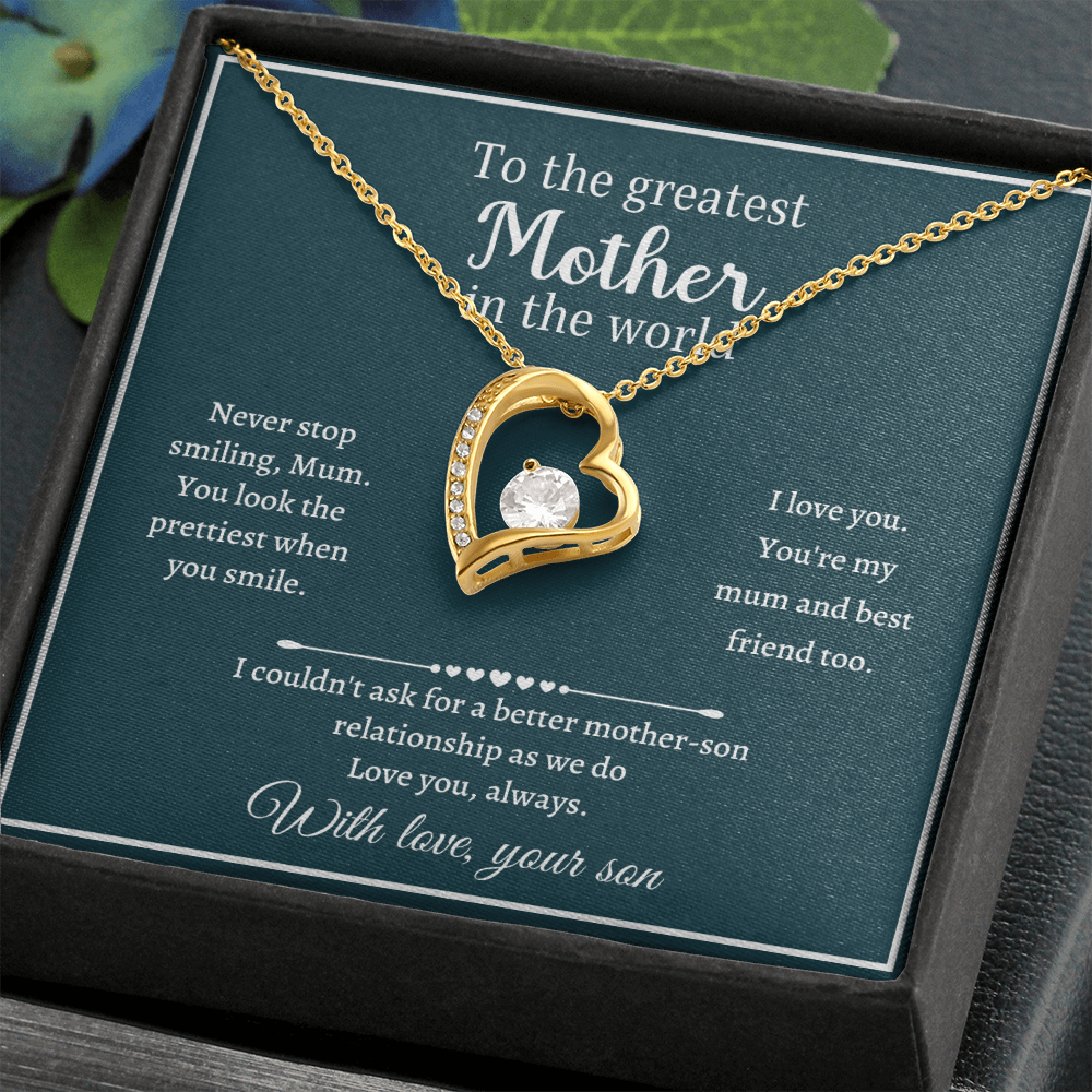 Mother's Day Gift - I couldn't ask for a better mother-son relationship as we do - JWshinee