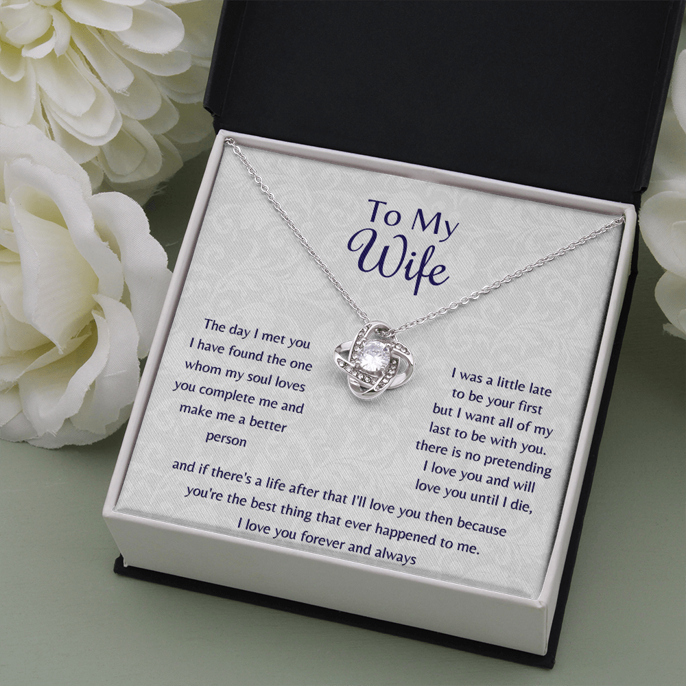 To My Wife The Day I Met You Love Knot Necklace, Anniversary Gift For Wife, Wife Birthday Gift Jewelry - JWshinee