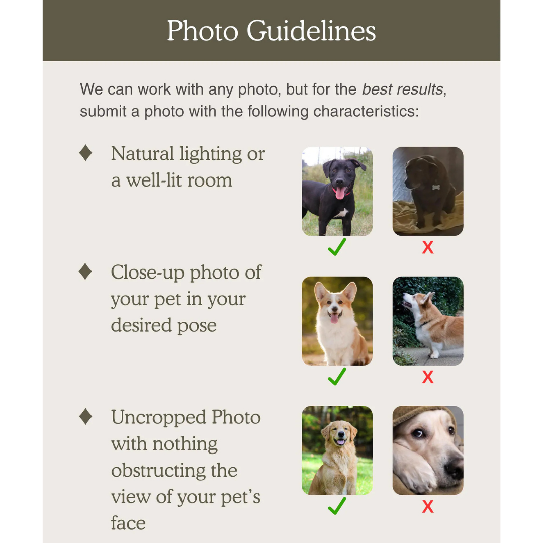 Custom Pet Photo Blanket