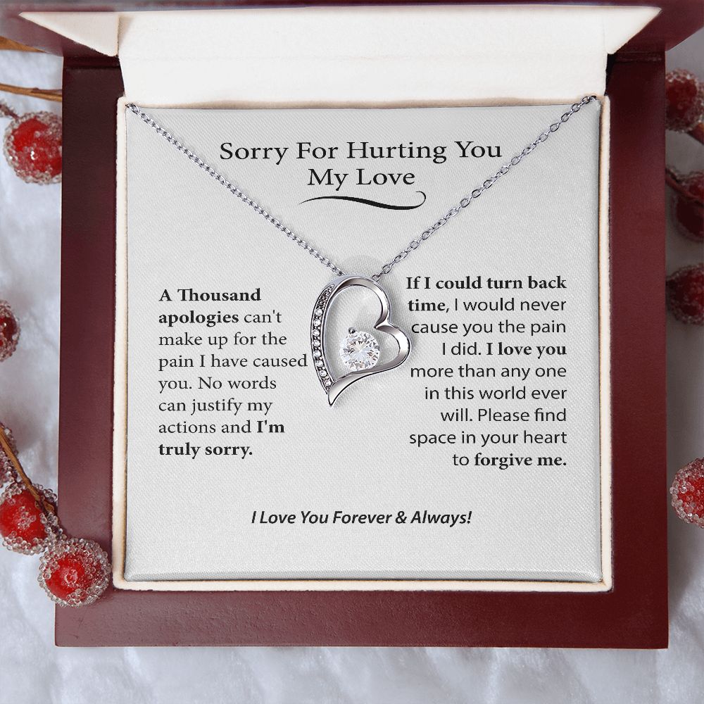 I'm Sorry Gift For Her, Forgiveness Necklace,B0BLLXT3Q8 JWSN110631