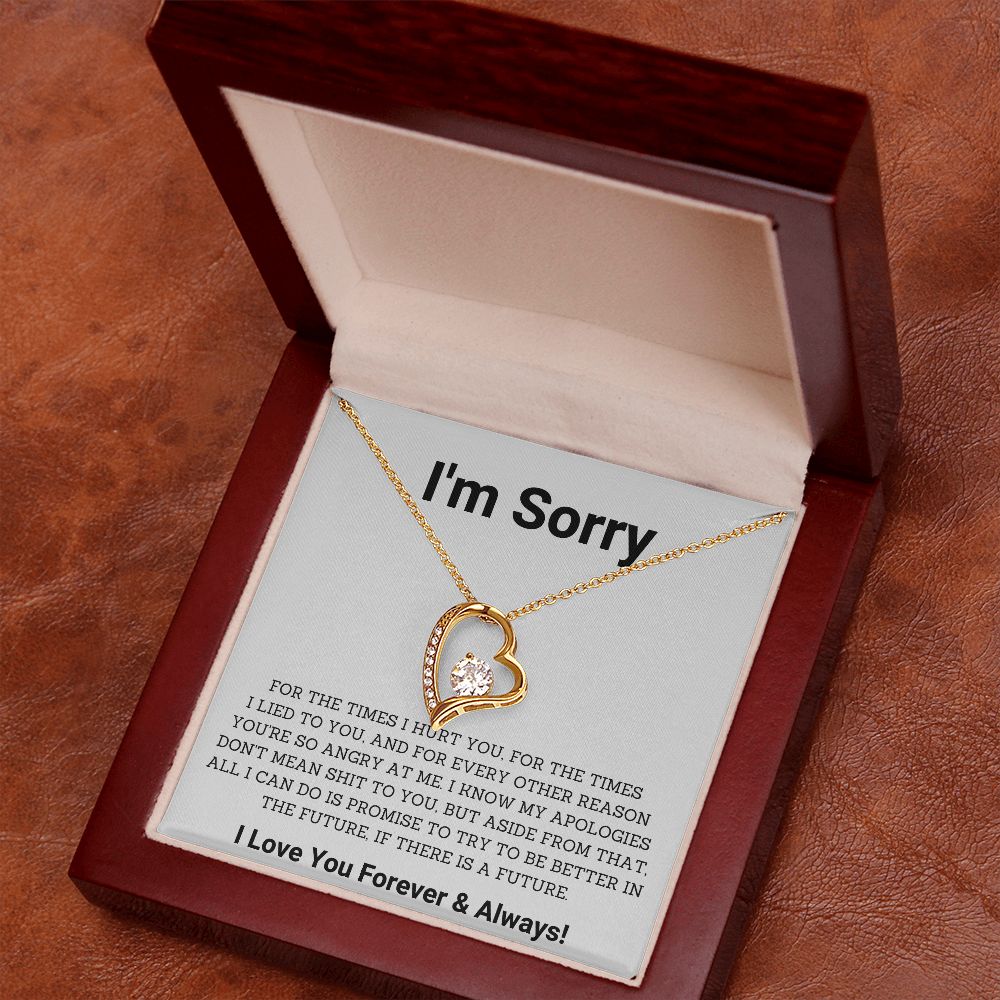 Saying Sorry in Style- Unique Im Sorry Gifts for Boyfriend, Girlfriend, Husband or Wife, Apology necklace, Forgiveness gift, I'm sorry necklace SNJW23-020310