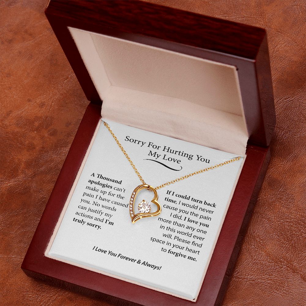 I'm Sorry Gift For Her, Forgiveness Necklace,B0BLLXT3Q8 JWSN110631