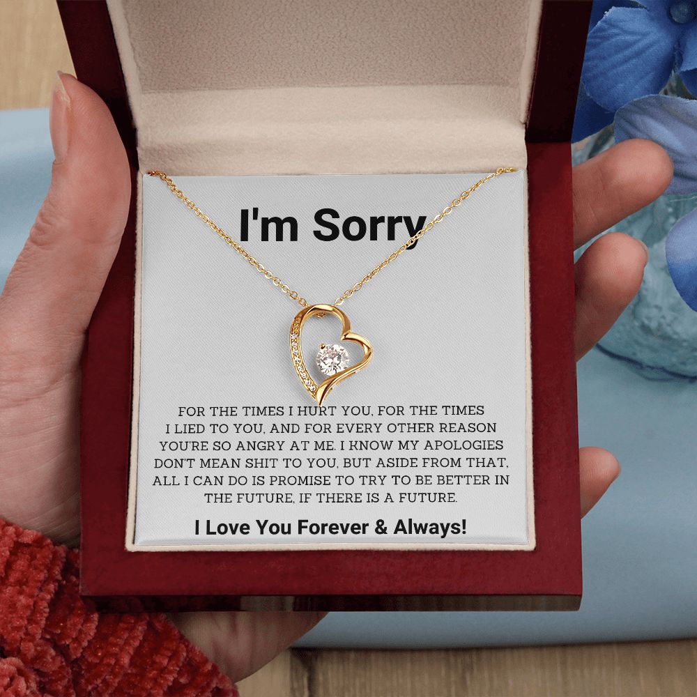 Saying Sorry in Style- Unique Im Sorry Gifts for Boyfriend, Girlfriend, Husband or Wife, Apology necklace, Forgiveness gift, I'm sorry necklace SNJW23-020310