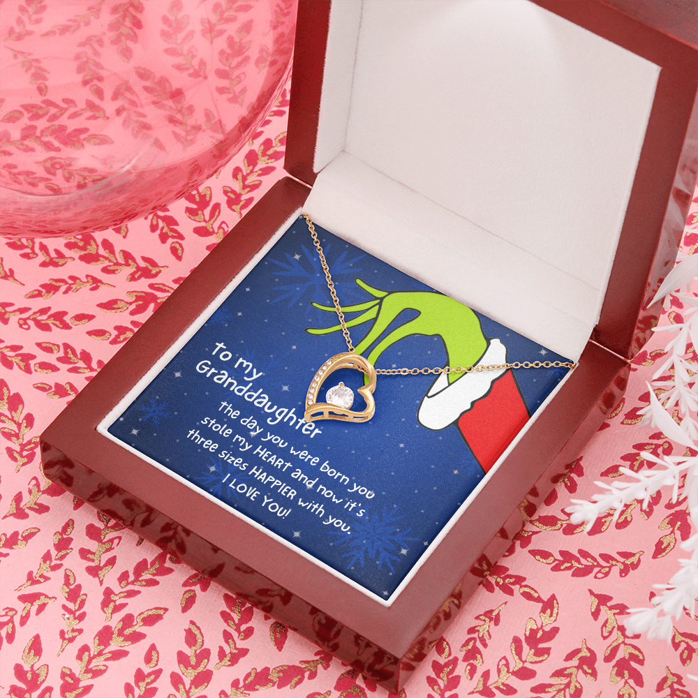 Christmas Necklace Gift to Granddaughter - The day you were born you stole my heart - JWshinee