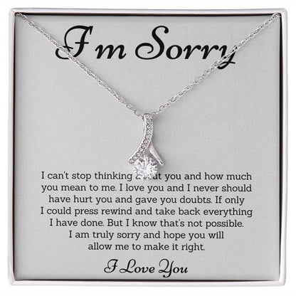 Forgiveness Necklace, Apology Gift  - Make Amends with These Apology Gifts for Her or Him SNJW23-020305
