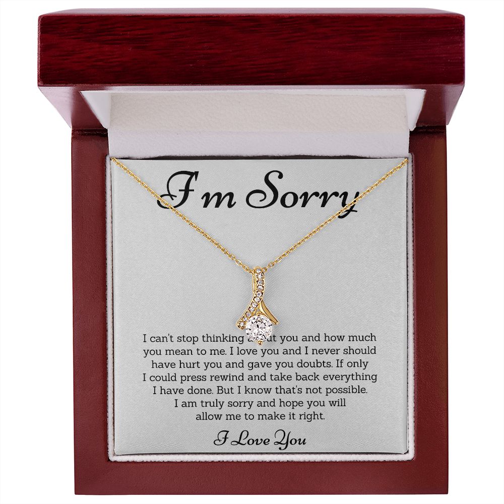 Forgiveness Necklace, Apology Gift  - Make Amends with These Apology Gifts for Her or Him SNJW23-020305