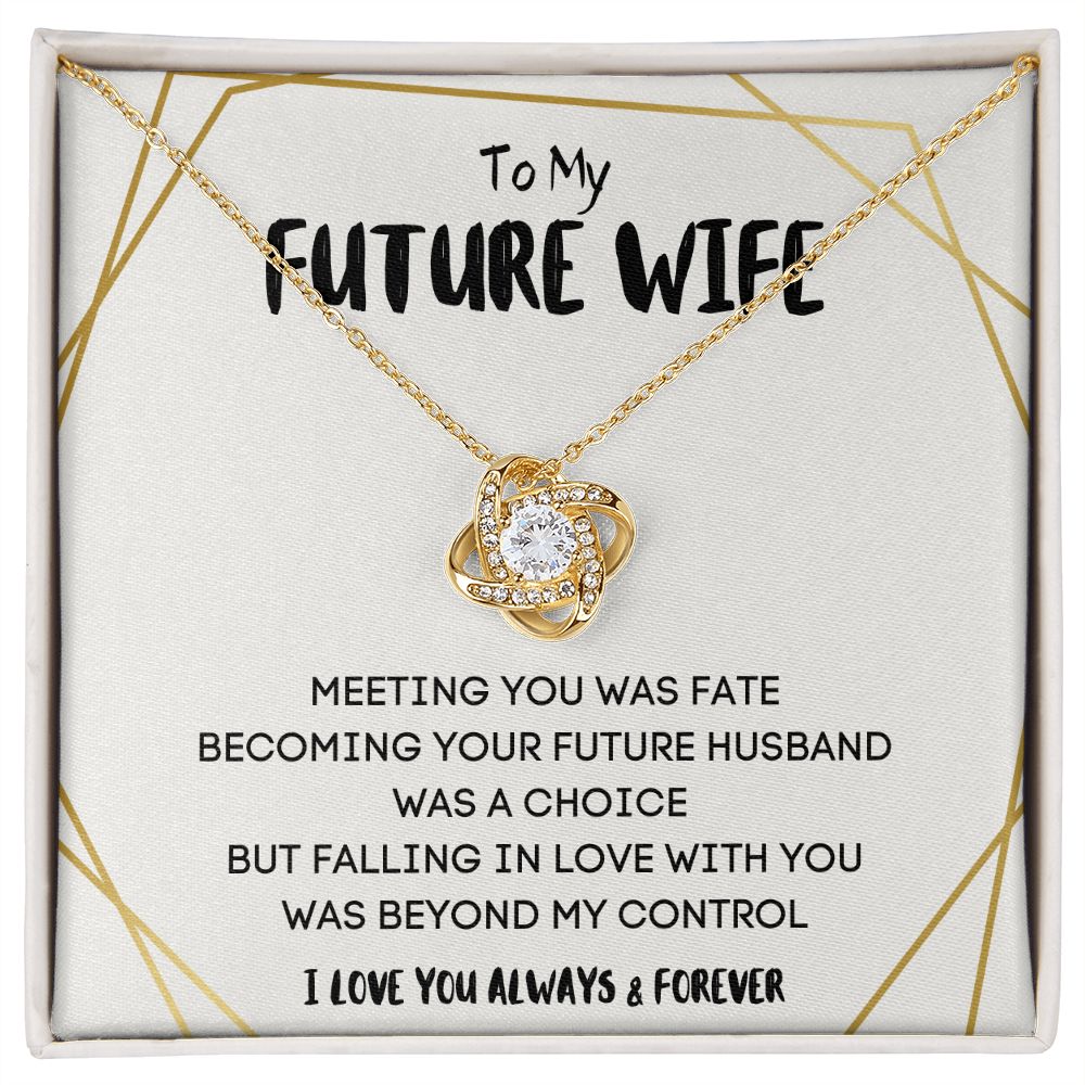 Future Wife Gifts - Surprise Her with a Necklace That Will Steal Her Heart Away | 'To My Future Wife' Message Card Included"