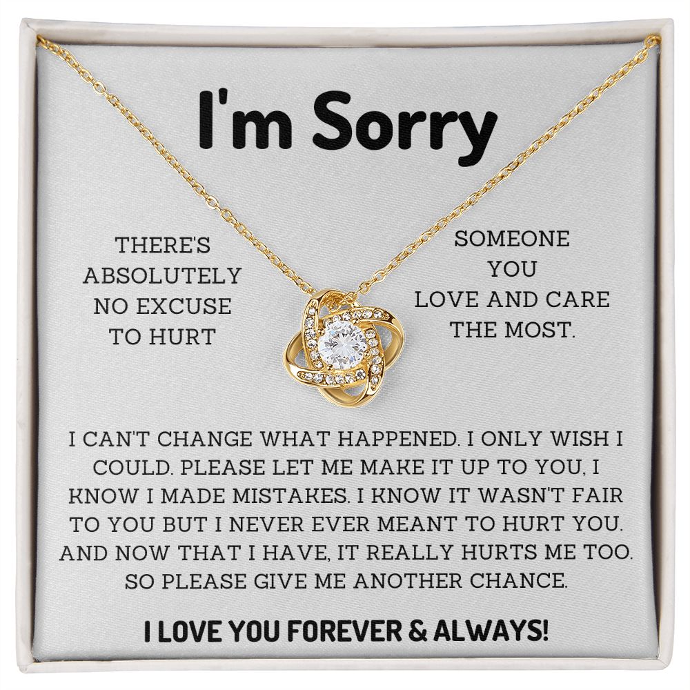 I'm Sorry Gifts for Him or her Win their Heart Back with Thoughtful Apology Presents, Apology necklace, Forgiveness gift, I'm sorry necklace SNJW23-020315