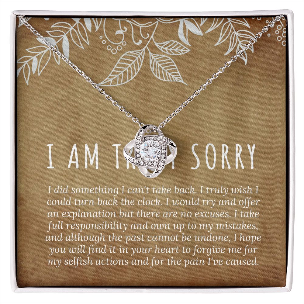 I'm Sorry Gift, Sorry Card, Apology Necklace, Sorry Gift Wife, Sorry Gift Girlfriend B0BLLXGPZZ JWSN110636