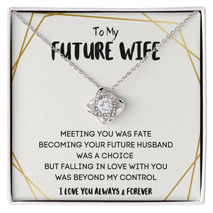 Future Wife Gifts - Surprise Her with a Necklace That Will Steal Her Heart Away | 'To My Future Wife' Message Card Included"