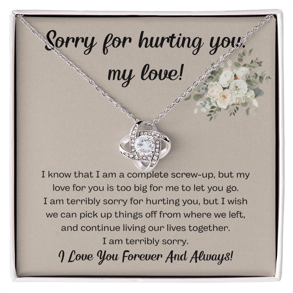 I'm Sorry Gifts for Him and Her - Express Your Apology with Unique Gifts, I'm Sorry Gift For Her, Forgiveness Necklace, Apology Gift For He SNJW23-020308