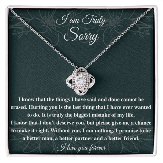 I'm Sorry Necklace: A Beautiful Gift to Say Sorry and Show Your Love and Regret, Apology necklace, Forgiveness gift, I'm sorry necklace SNJW23-020312