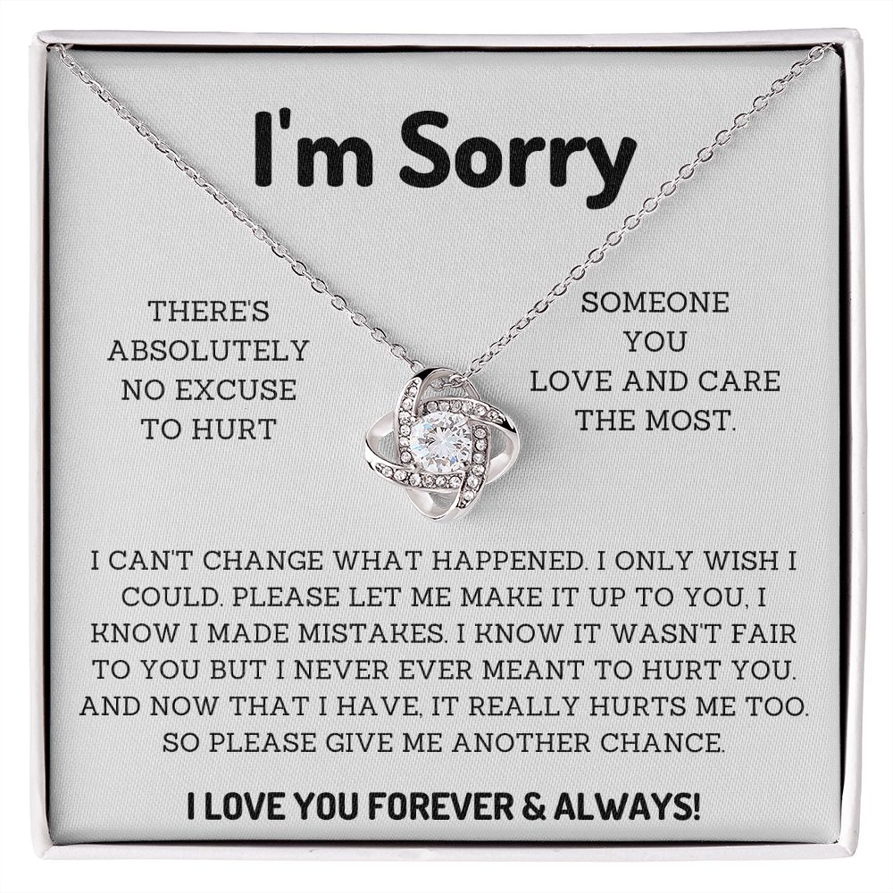 I'm Sorry Gifts for Him or her Win their Heart Back with Thoughtful Apology Presents, Apology necklace, Forgiveness gift, I'm sorry necklace SNJW23-020315