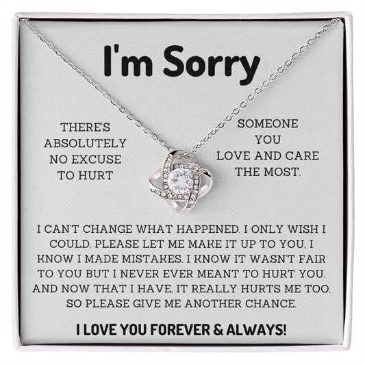 I'm Sorry Gifts for Him or her Win their Heart Back with Thoughtful Apology Presents, Apology necklace, Forgiveness gift, I'm sorry necklace SNJW23-020315