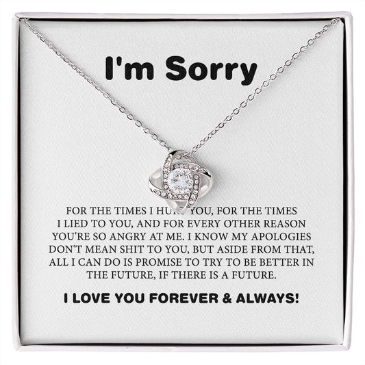 Apology Gift For Her, I Am Sorry Gift For Wife Or Girlfriend, Apology Necklace For Her B0BLLXVP6W JWSN110633
