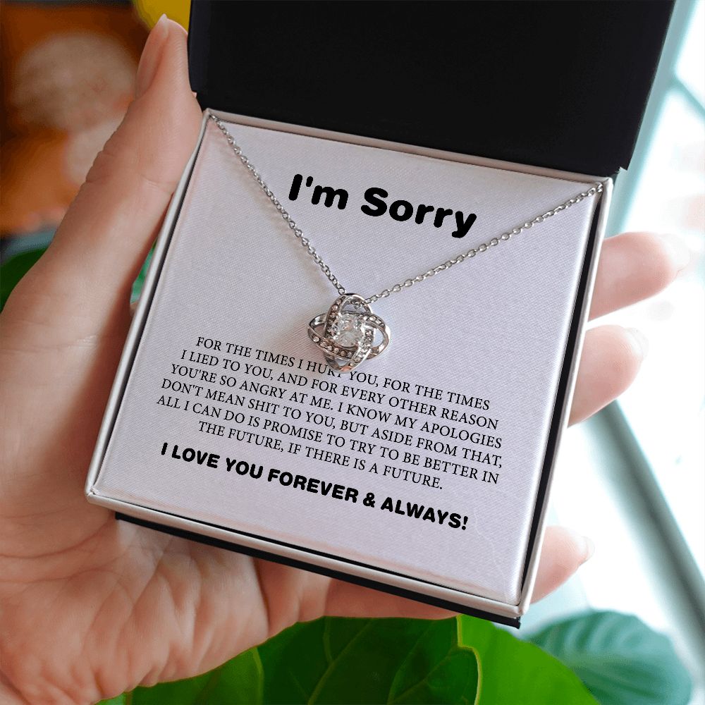 Apology Gift For Her, I Am Sorry Gift For Wife Or Girlfriend, Apology Necklace For Her B0BLLXVP6W JWSN110633