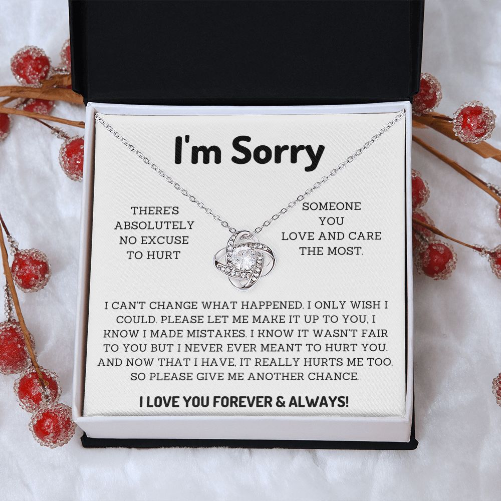 I'm Sorry Gifts for Him or her Win their Heart Back with Thoughtful Apology Presents, Apology necklace, Forgiveness gift, I'm sorry necklace SNJW23-020315