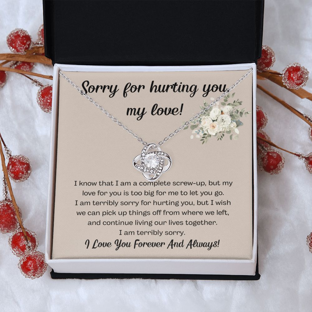 I'm Sorry Gifts for Him and Her - Express Your Apology with Unique Gifts, I'm Sorry Gift For Her, Forgiveness Necklace, Apology Gift For He SNJW23-020308