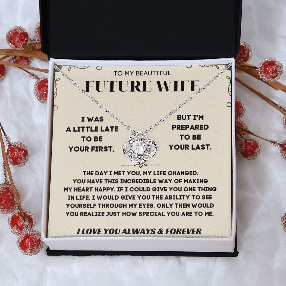 Future Wife Gifts - Surprise Her with a Necklace That Will Steal Her Heart Away | 'To My Future Wife' Message Card Included