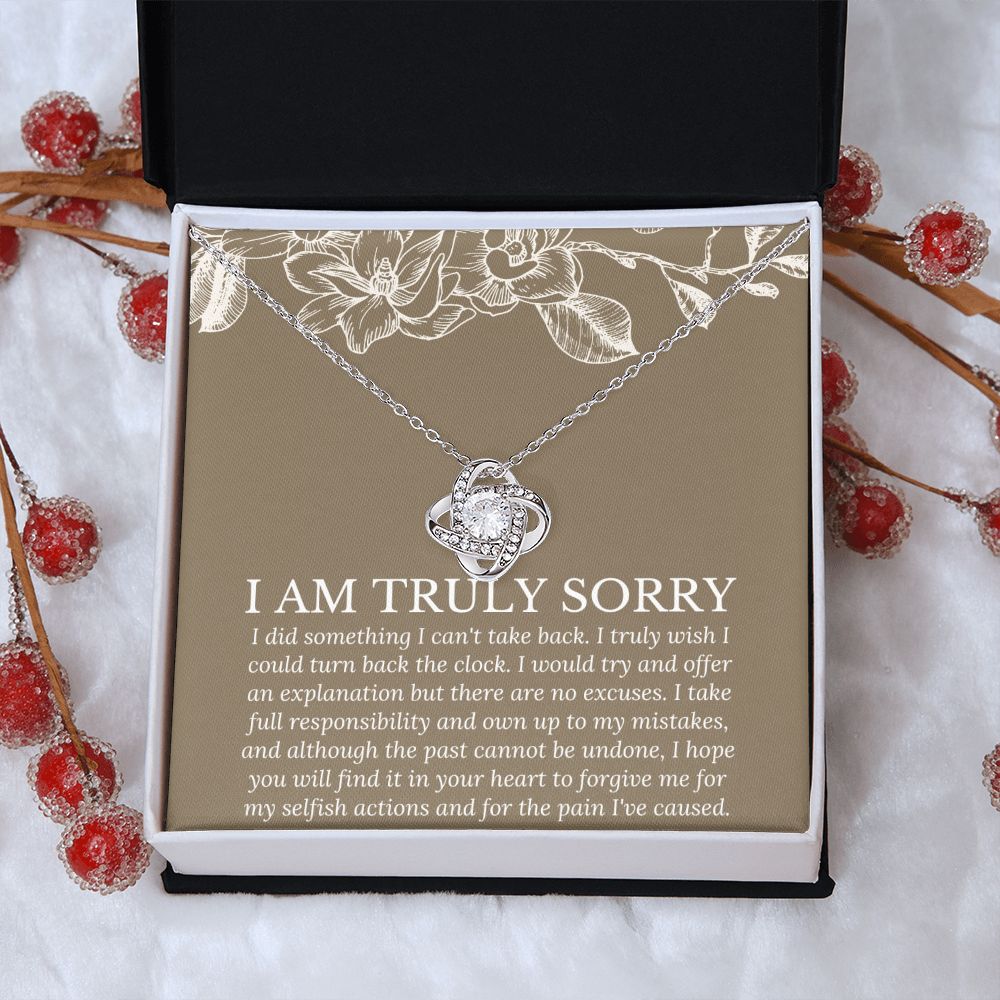 Gifts to Say I'm Sorry - Show Your Sincerity and Apology with Unique Presents, Apology necklace, Forgiveness gift, I'm sorry necklace SNJW23-020313