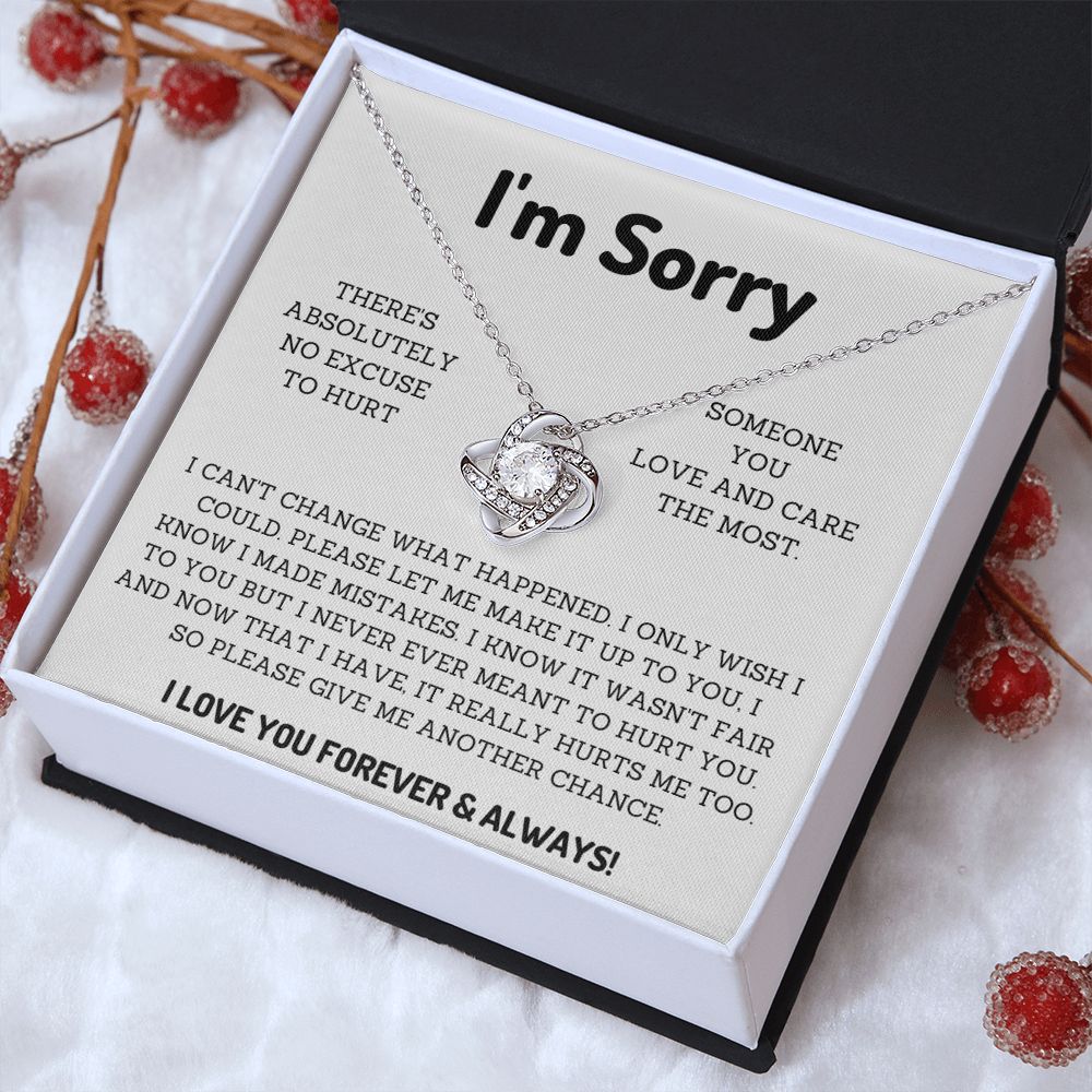 I'm Sorry Gifts for Him or her Win their Heart Back with Thoughtful Apology Presents, Apology necklace, Forgiveness gift, I'm sorry necklace SNJW23-020315