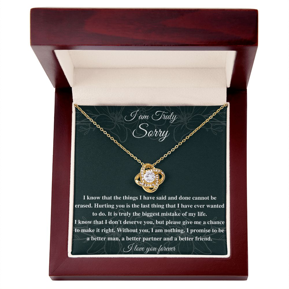 I'm Sorry Necklace: A Beautiful Gift to Say Sorry and Show Your Love and Regret, Apology necklace, Forgiveness gift, I'm sorry necklace SNJW23-020312