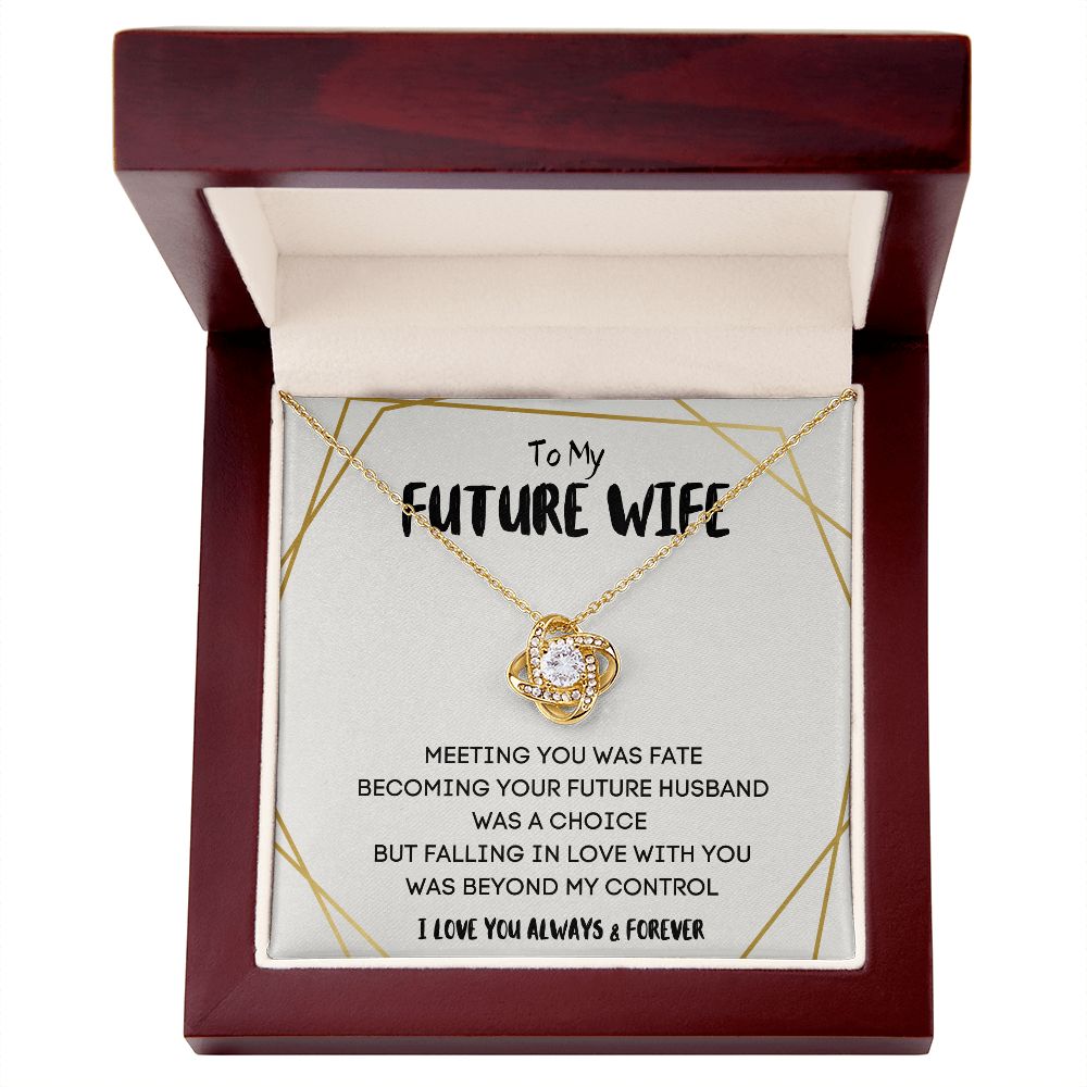 Future Wife Gifts - Surprise Her with a Necklace That Will Steal Her Heart Away | 'To My Future Wife' Message Card Included"