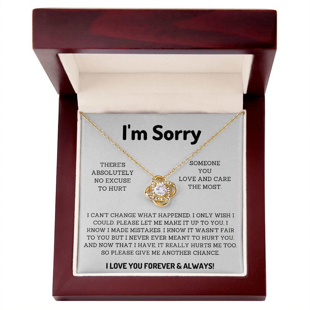 I'm Sorry Gifts for Him or her Win their Heart Back with Thoughtful Apology Presents, Apology necklace, Forgiveness gift, I'm sorry necklace SNJW23-020315