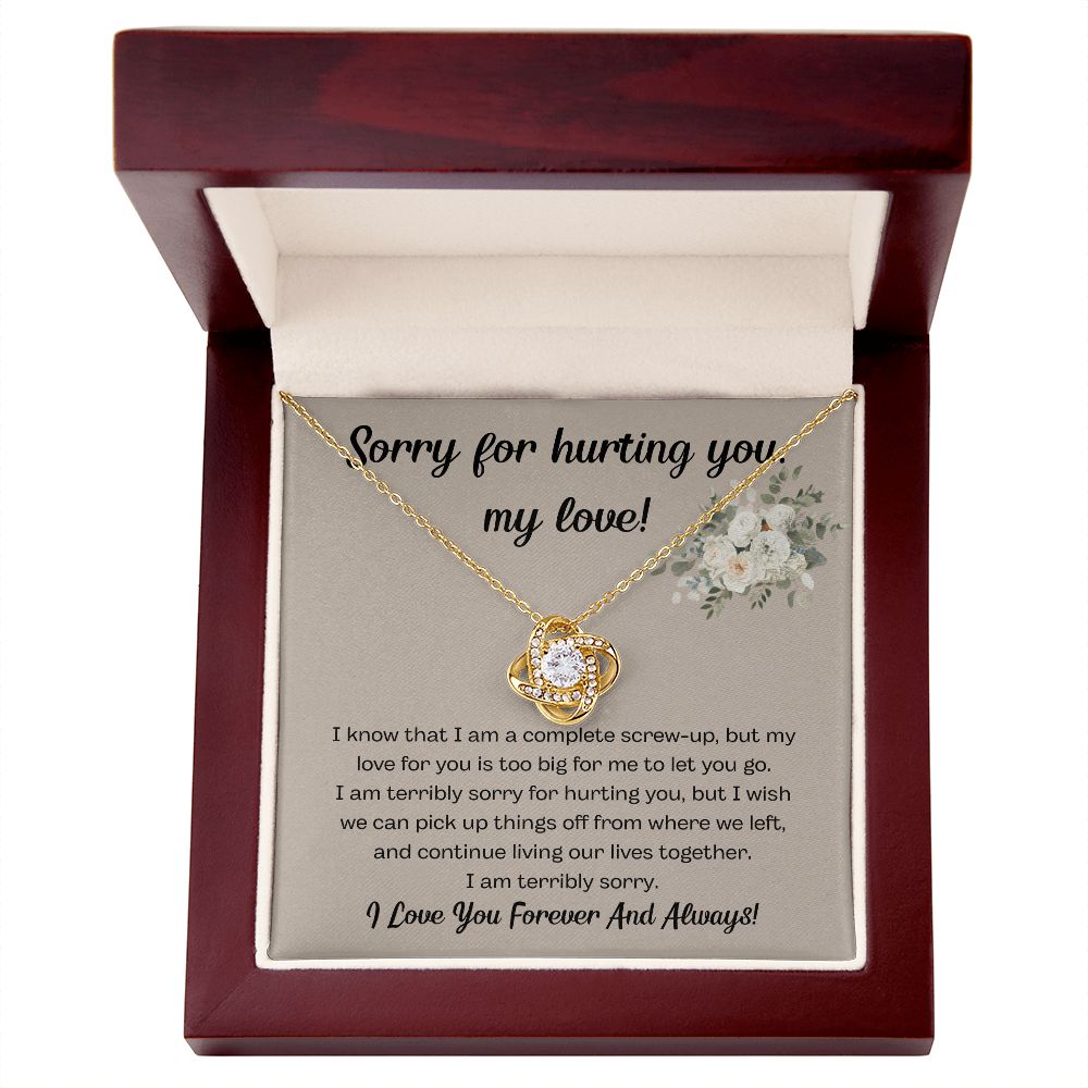 I'm Sorry Gifts for Him and Her - Express Your Apology with Unique Gifts, I'm Sorry Gift For Her, Forgiveness Necklace, Apology Gift For He SNJW23-020308