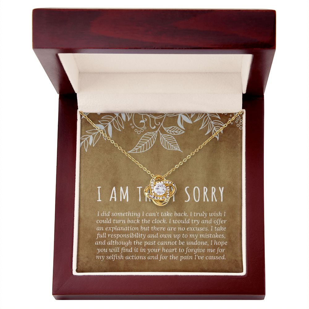 I'm Sorry Gift, Sorry Card, Apology Necklace, Sorry Gift Wife, Sorry Gift Girlfriend B0BLLXGPZZ JWSN110636