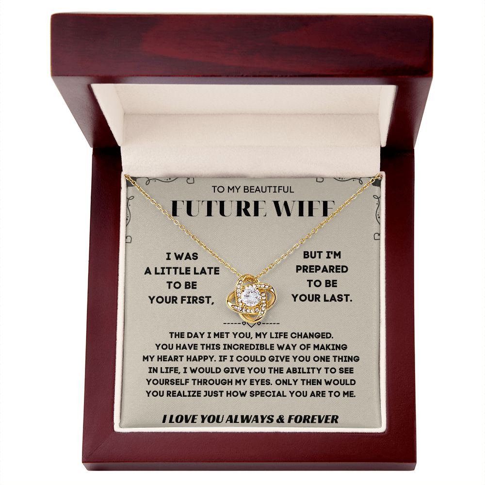Future Wife Gifts - Surprise Her with a Necklace That Will Steal Her Heart Away | 'To My Future Wife' Message Card Included
