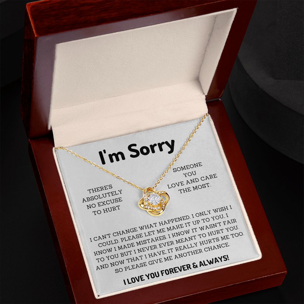 I'm Sorry Gifts for Him or her Win their Heart Back with Thoughtful Apology Presents, Apology necklace, Forgiveness gift, I'm sorry necklace SNJW23-020315