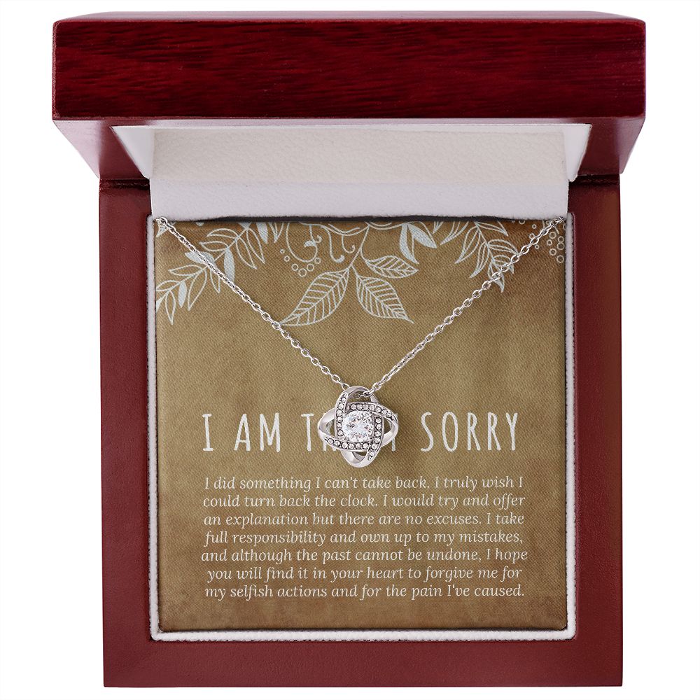 I'm Sorry Gift, Sorry Card, Apology Necklace, Sorry Gift Wife, Sorry Gift Girlfriend B0BLLXGPZZ JWSN110636