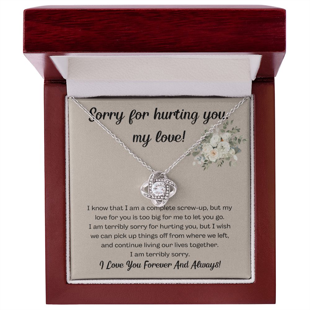 I'm Sorry Gifts for Him and Her - Express Your Apology with Unique Gifts, I'm Sorry Gift For Her, Forgiveness Necklace, Apology Gift For He SNJW23-020308