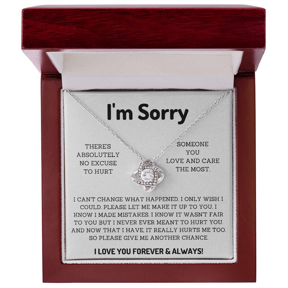 I'm Sorry Gifts for Him or her Win their Heart Back with Thoughtful Apology Presents, Apology necklace, Forgiveness gift, I'm sorry necklace SNJW23-020315