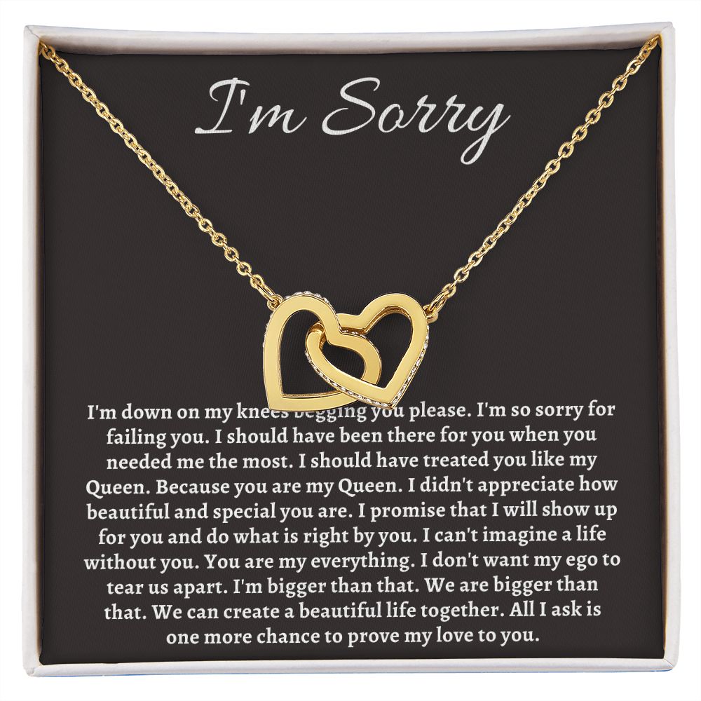Im Sorry Jewelry for Her or Him - Sincere Apologies Deserve Beautiful Gifts, I'm Sorry Gift, Forgiveness Gift SNJW23-020307