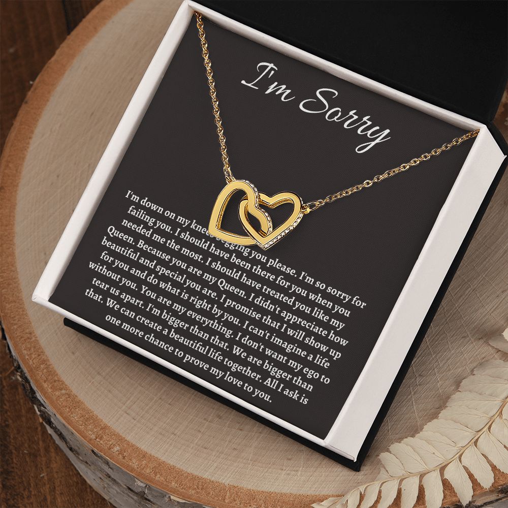 Im Sorry Jewelry for Her or Him - Sincere Apologies Deserve Beautiful Gifts, I'm Sorry Gift, Forgiveness Gift SNJW23-020307