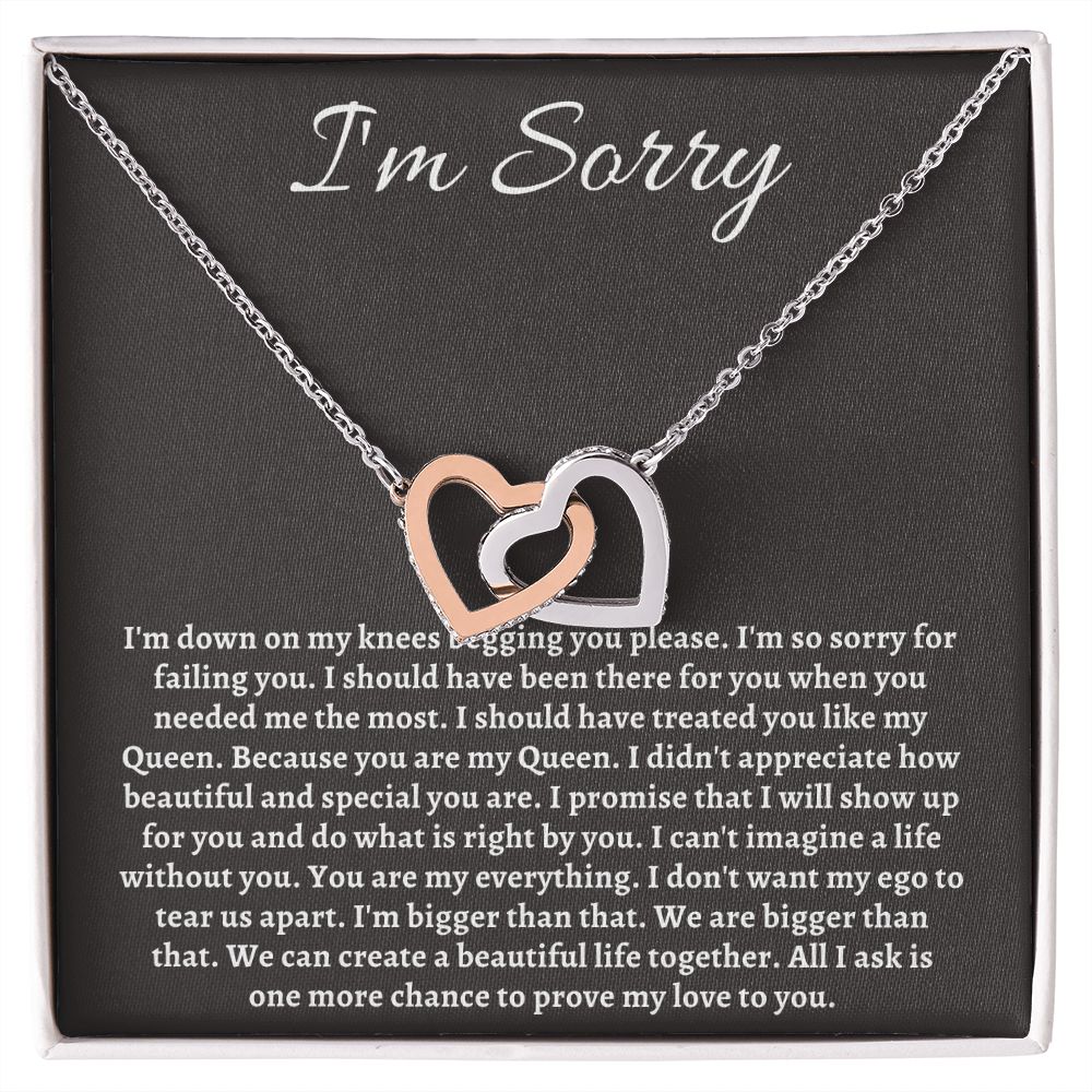 Im Sorry Jewelry for Her or Him - Sincere Apologies Deserve Beautiful Gifts, I'm Sorry Gift, Forgiveness Gift SNJW23-020307