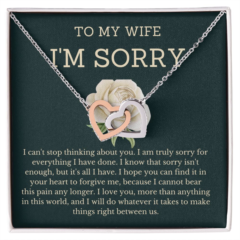 I'm Sorry Gifts for Her-  A Token of Love to Make Her Forgive You, Apology necklace, Forgiveness gift, I'm sorry necklace SNJW23-020314