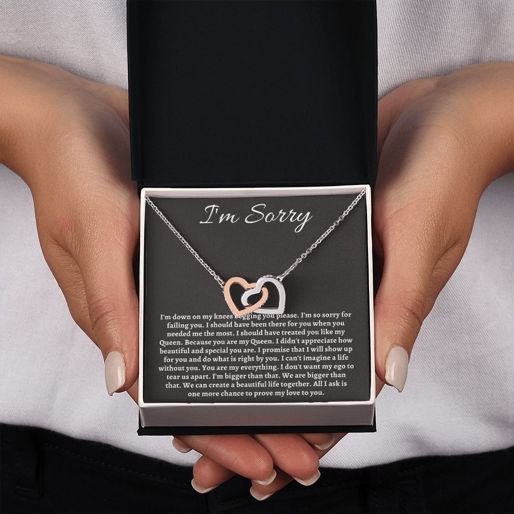 Im Sorry Jewelry for Her or Him - Sincere Apologies Deserve Beautiful Gifts, I'm Sorry Gift, Forgiveness Gift SNJW23-020307