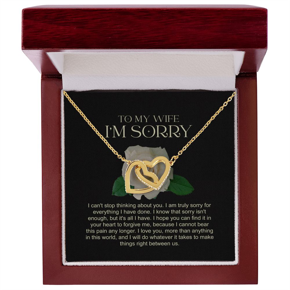 I'm Sorry Gift for Wife, Apology Gift for Her JWSN110639