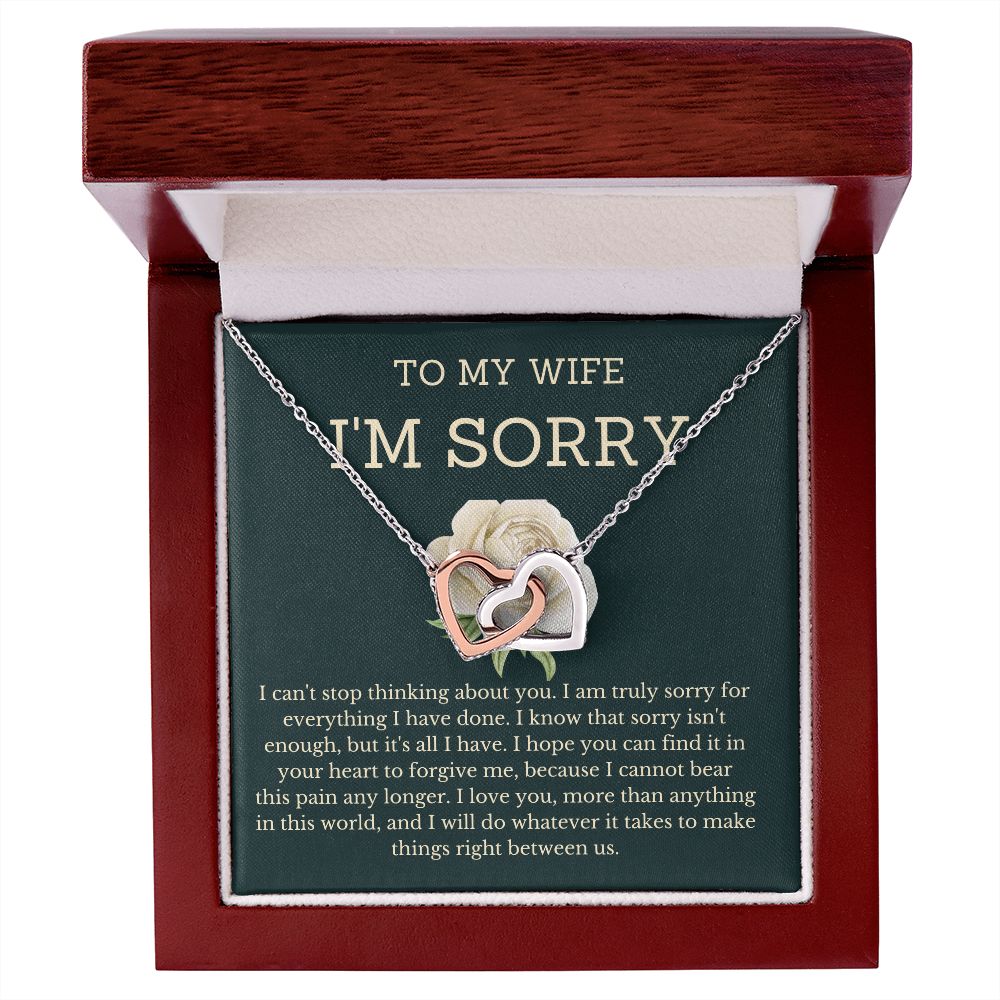 I'm Sorry Gifts for Her-  A Token of Love to Make Her Forgive You, Apology necklace, Forgiveness gift, I'm sorry necklace SNJW23-020314