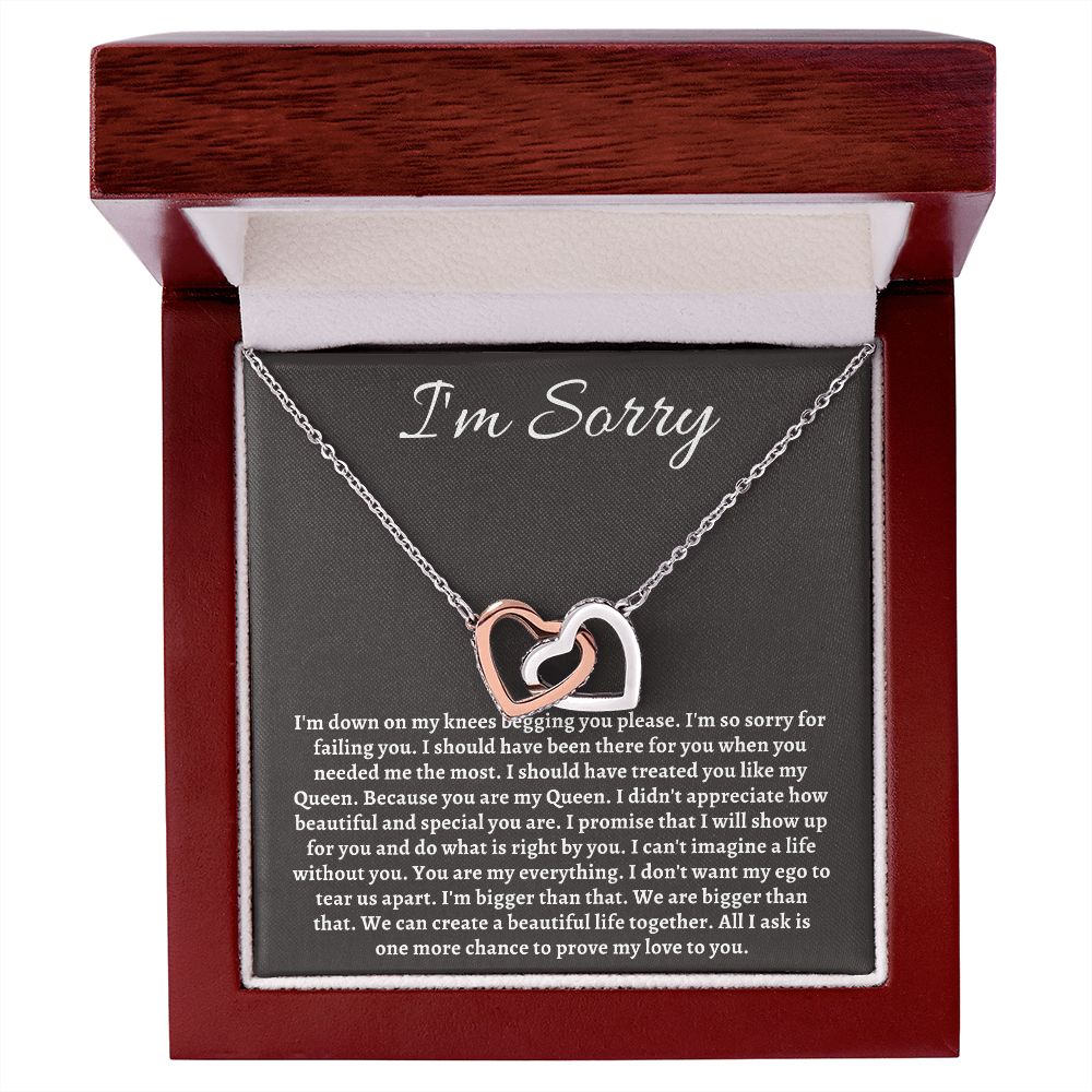 Im Sorry Jewelry for Her or Him - Sincere Apologies Deserve Beautiful Gifts, I'm Sorry Gift, Forgiveness Gift SNJW23-020307